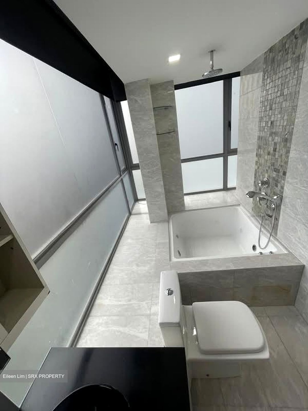 Angullia Park Residences @ Orchard (D10), Apartment #580296561